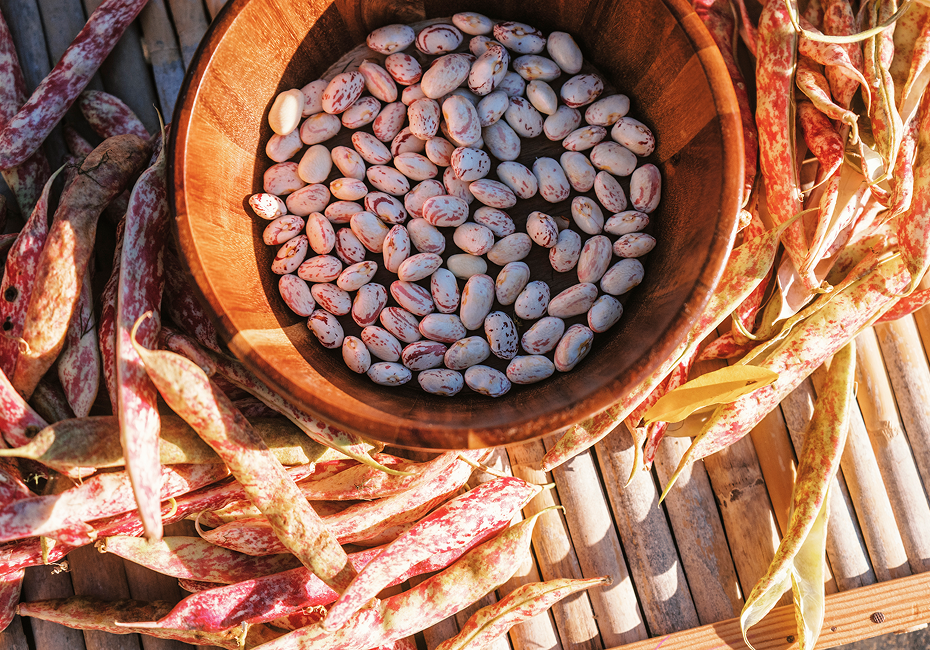 Tempo Tuo - A‘ Cràpa Mangia