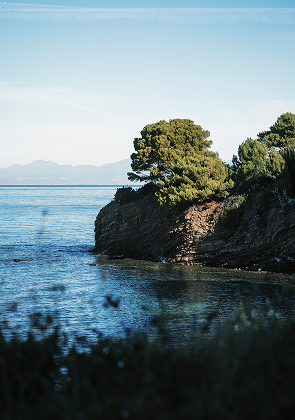 Tempo Tuo - A‘ Cràpa Mangia