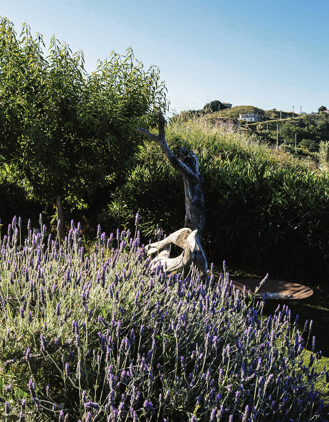 Casa Carlo - A‘ Cràpa Mangia
