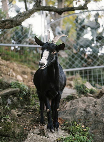 Landgut - A‘ Cràpa Mangia