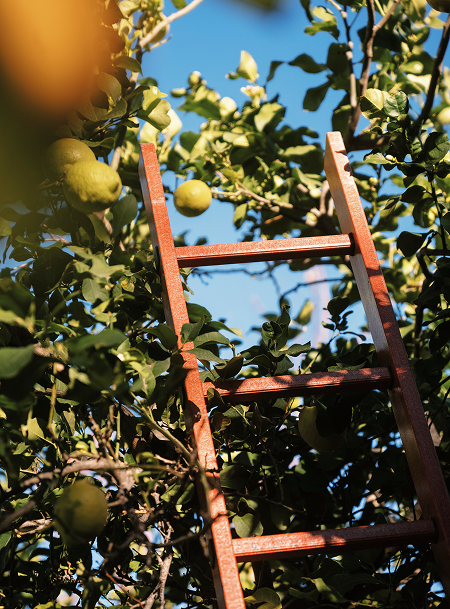 Landgut - A‘ Cràpa Mangia