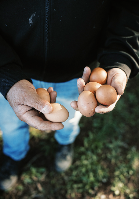 Landgut - A‘ Cràpa Mangia
