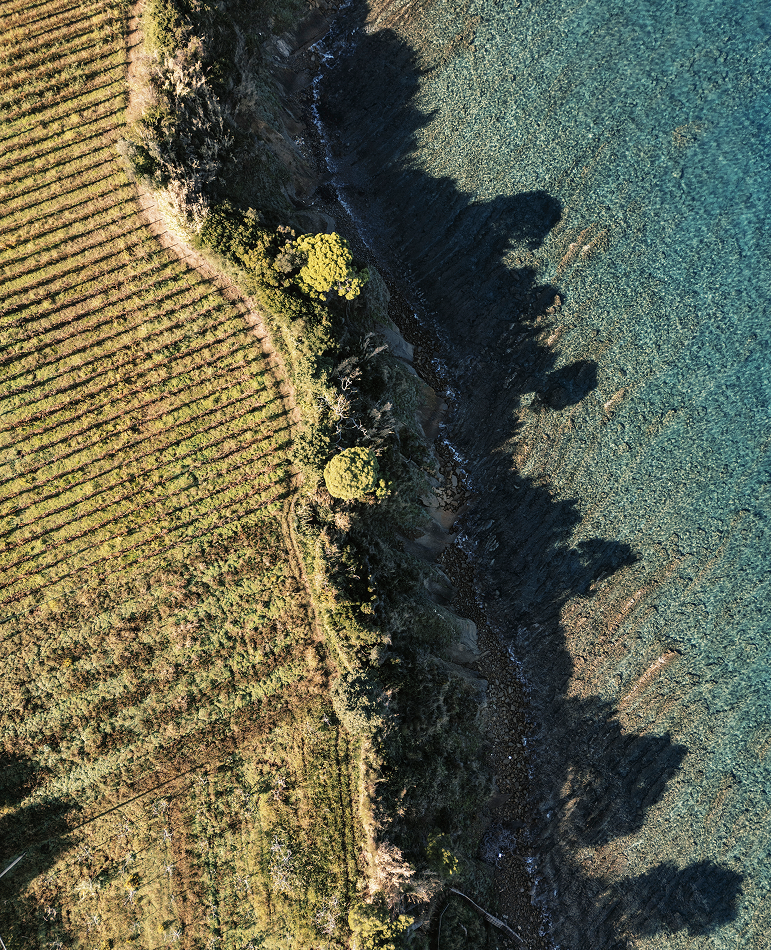 A' Cràpa Mangia - A‘ Cràpa Mangia