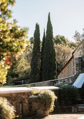 Tempo Tuo - A‘ Cràpa Mangia