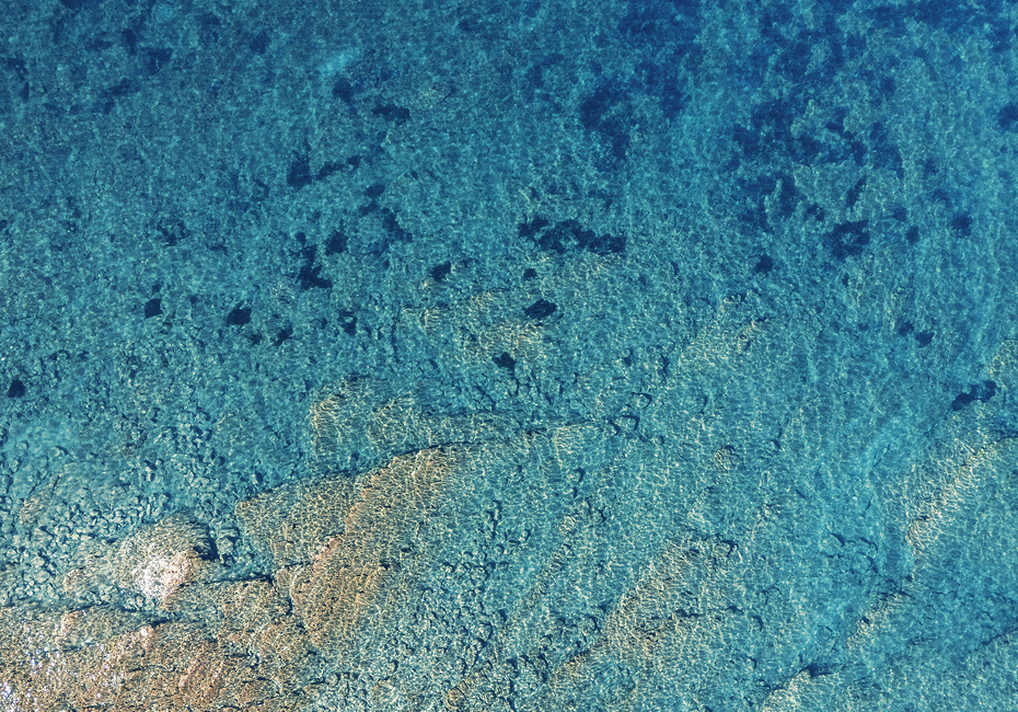 Tempo Tuo - A‘ Cràpa Mangia